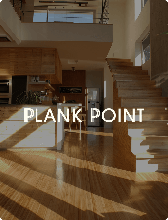 plank-point
